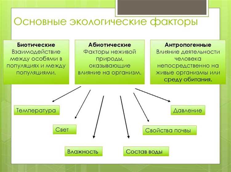 Автомобильная экология и зеленое строительство: взаимосвязь и влияние