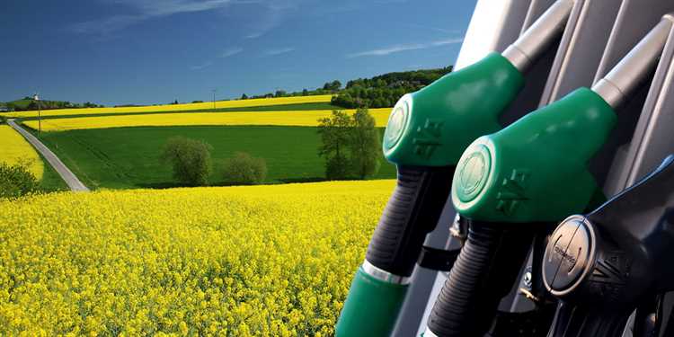 Биодизельное топливо: перспективы использования в автомобилях