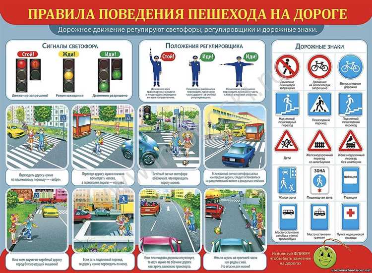 Дорожная этикетка: правила вежливого поведения водителей