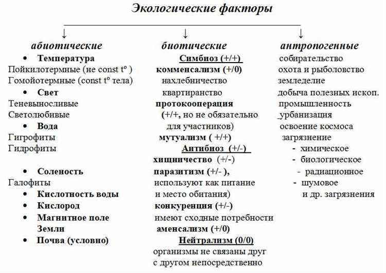 Экологические факторы, которые необходимо учесть при выборе автомобиля.