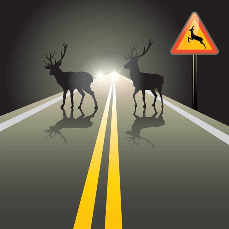 Как избежать аварийных ситуаций, связанных с животными на дороге