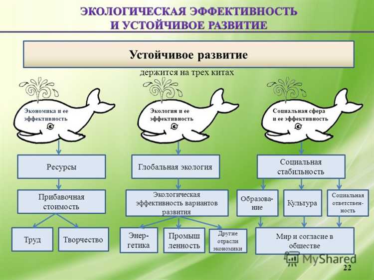 Новые технологии для улучшения экологической эффективности двигателей