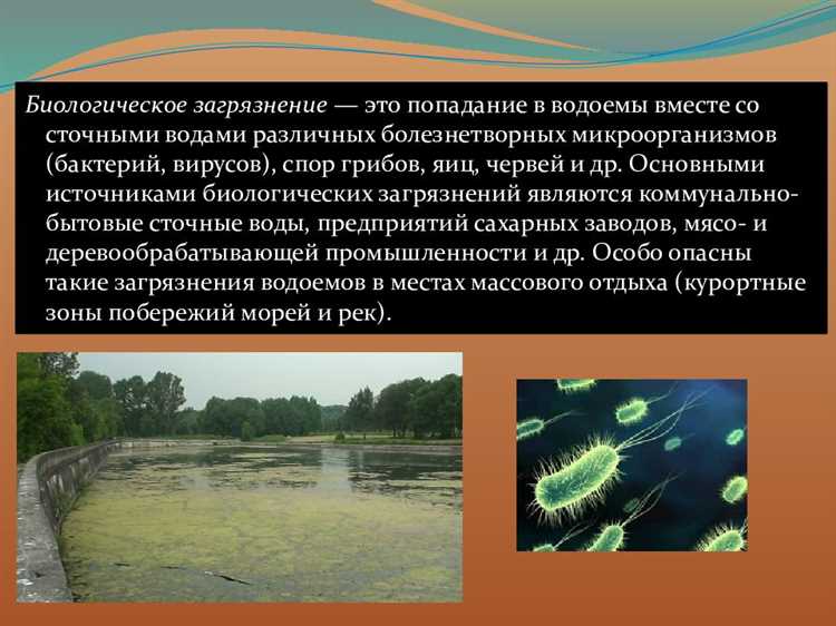 Влияние автомобилей на водные экосистемы: загрязнение воды и угрозы для водных животных.