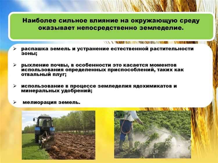 Последствия пробок для экосистем города