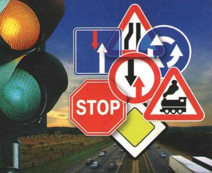 Знание правил дорожного движения: какие жизни можно спасти